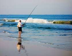 The beach is situated south of Del Mar and north of La Jolla. Popular activities at the beach include bird watching, hiking, whale watching, fishing, 